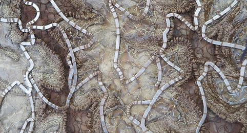 Angelina%20Course%20Samples%20(20)_edite