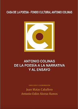 Captura de pantalla 2023-07-26 a las 13.19.46.png