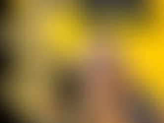 What to Look for When Buying Customized Dog Accessories Online in India