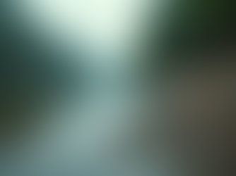 Join Us in Cleaning the Gataga River