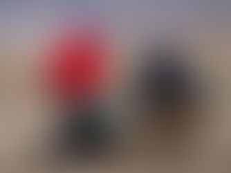 MWCS Supports Bighorn Sheep Restoration