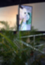 Fragments of a strategy