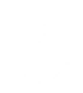 VBC_SHIELD_MASTER DESIGN FILE (DO NOT CHANGE)_SHIELD ONLY.png