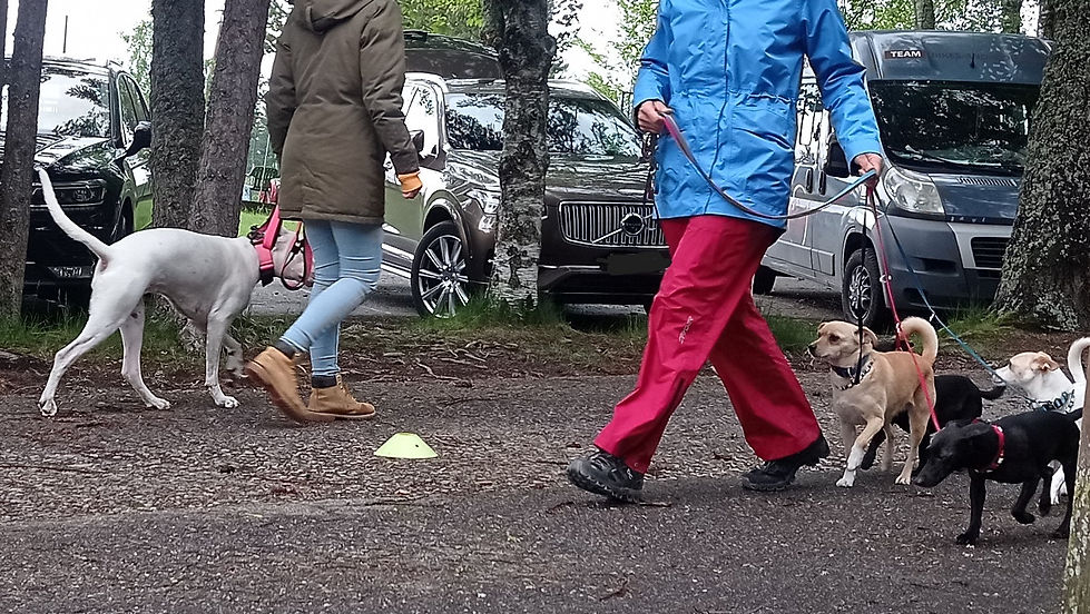 Begegegnungstraining