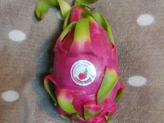 ドラゴンフルーツ