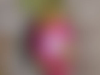 ドラゴンフルーツ