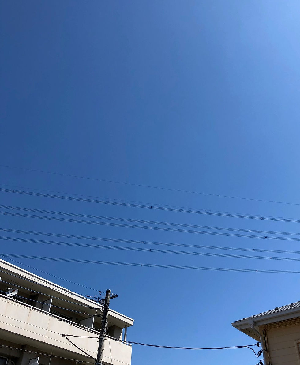 多摩市多摩センターの整体院身体均整堂からだやの快晴