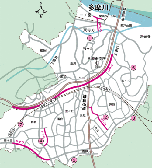 多摩市多摩センターの整体院身体均整堂からだやのさくら地図