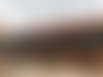 お墓参り行ってきました