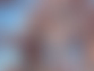 桜が開花しました