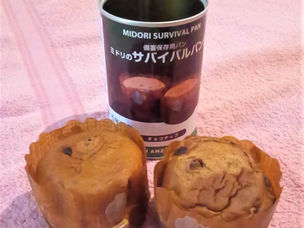 サバイバルパン頂きました