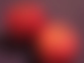 りんごを頂きました