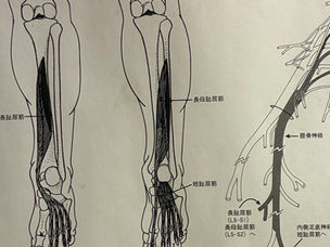 足がつった時の対処法