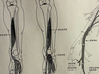 足がつった時の対処法