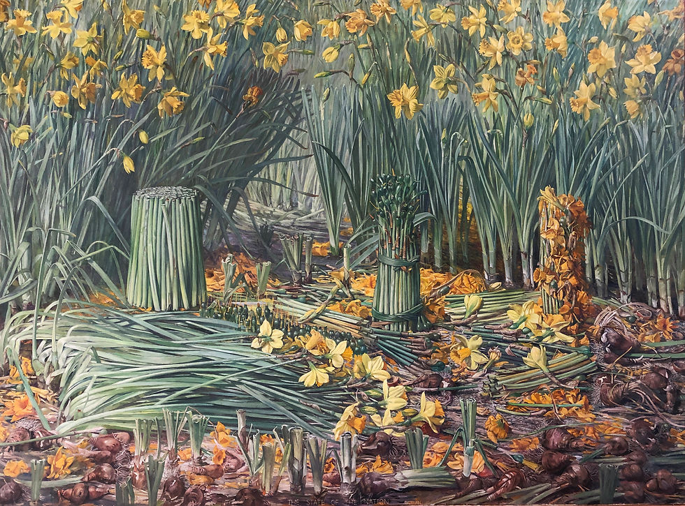 Daffodils / State of the Nation