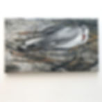 Thumbnail: Seagull. 1989.