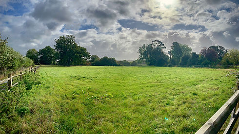 Owen's Farm Therapies - The Farm