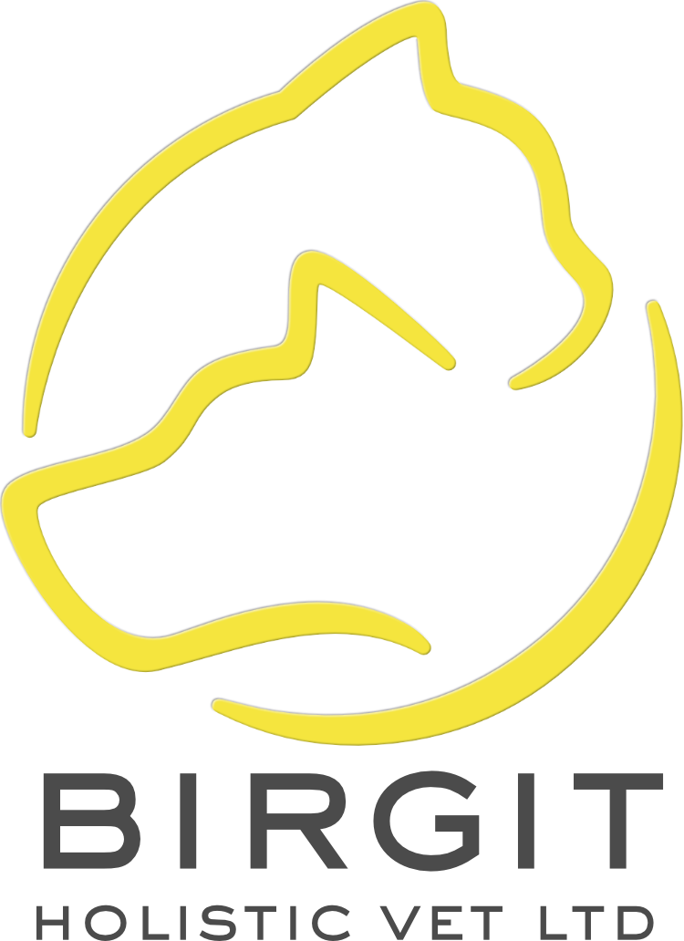Holistic veterinary sales medicine near me