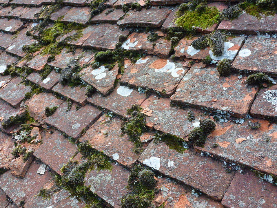 The Grange Fittleworth - Heritage Roofing