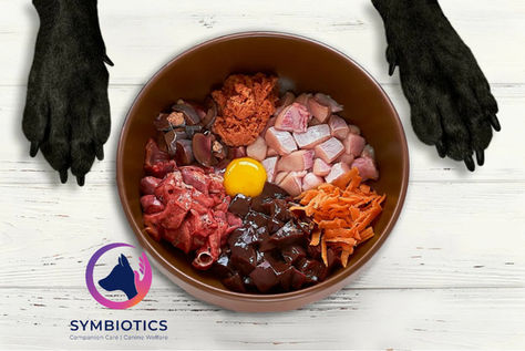 The Benefits of Raw Diets for Dogs