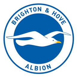 Brighton & Hove Albion