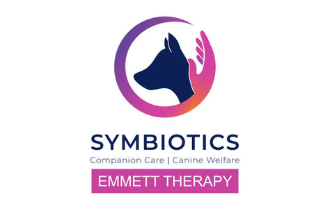 All about Emmett Therapy & how it can help your dog