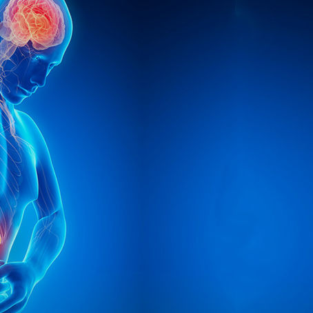 Por qué tu estado de ánimo no está en tu cabeza y sí en el "segundo cerebro" del que nadie habla