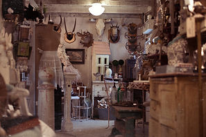 MAN_2464-Edit.jpg