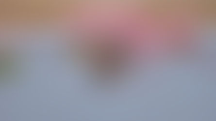 Mais um caso de explosão em uma escola