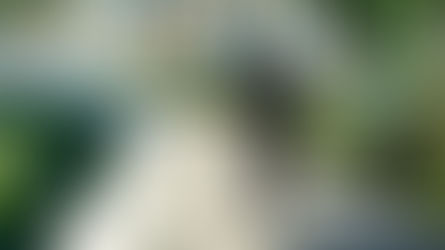 Radiojornal laboratório traz reportagens e quadros com temas atuais