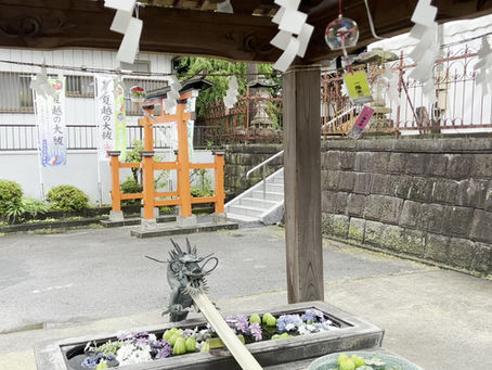 「夏至の日に、茅の輪をくぐりました🌿」