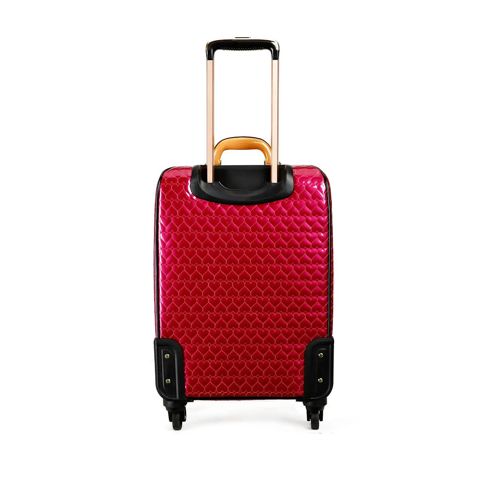 Thumbnail: Brangio Luxurious Spinner Luggage