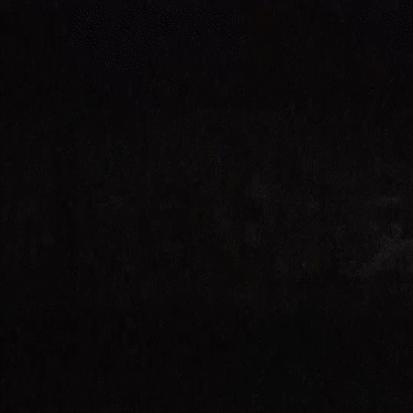 Somewhere in the Sand.gif