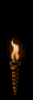 torch.gif