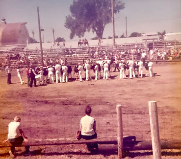 dairy show grandstand.jpg