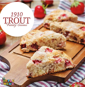 Screenshot 2025-11-14 at 11.26.22 AM.png