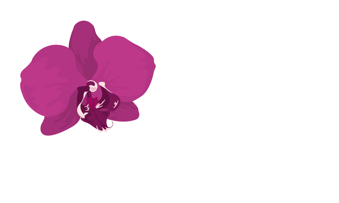 logo-orchidees.gif