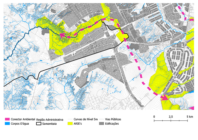 ARIE Conector ambiental (1).png