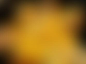 ふわトロ玉子の親子丼セット。鶏肉も柔らかで薄味です。