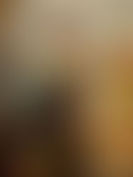 柔らか角煮、叉焼と肉三昧です。煮汁が良く染み込んでいて、ご飯に合います。