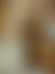 回鍋肉、春巻き、奴と贅沢な夕食です。