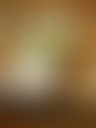 サバの塩焼き、ご飯がすすむネギたま、大盛キャベツ。サバの焼き方はトップシークレットだそうで、ここだけの話しネギたまの後に焼いたようです。魚くさくないです。
そして、野菜が多いので、快腸です。