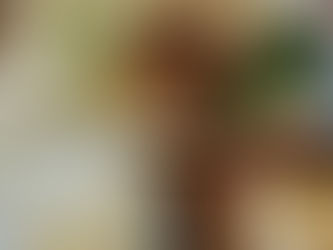 ポークジンジャーは生姜とタレの塩梅が良く…