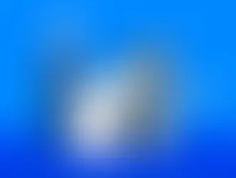 The Importance of WordPress Hosting