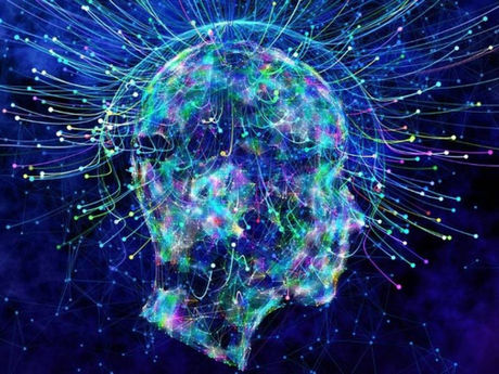 Synapses's Labyrinth