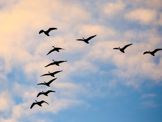 Millennials Flock Towards Low Down Payment Programs