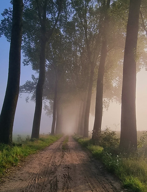 Foto derde steeg.jpg