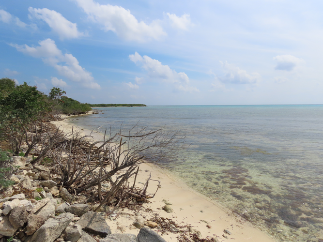 inseltour-cozumel-deutsch (5)