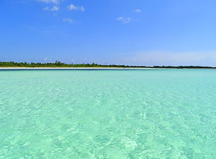 cozumel-schnorchel-tour-el-cielo (1)_edited.jpg