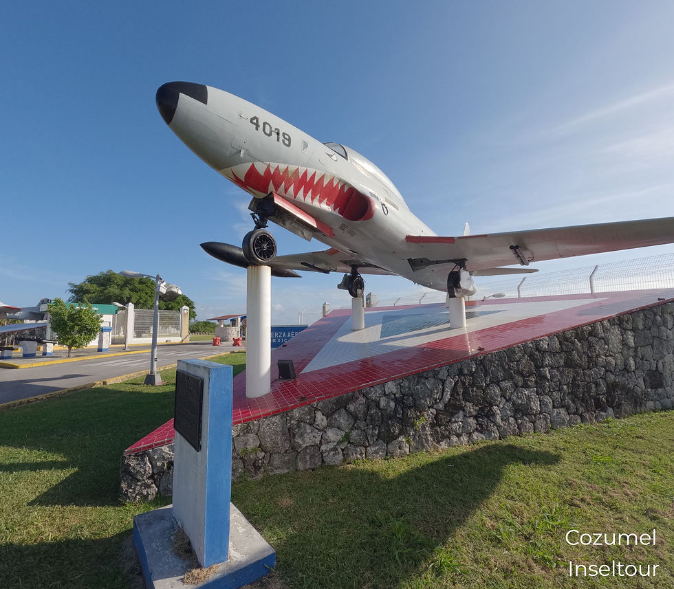 cozumel-kreuzfahrer-insel-ausflug (2)_edited